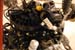 engine-replace_047