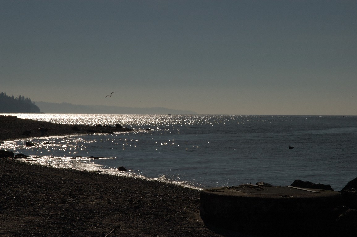 DSC_0012a