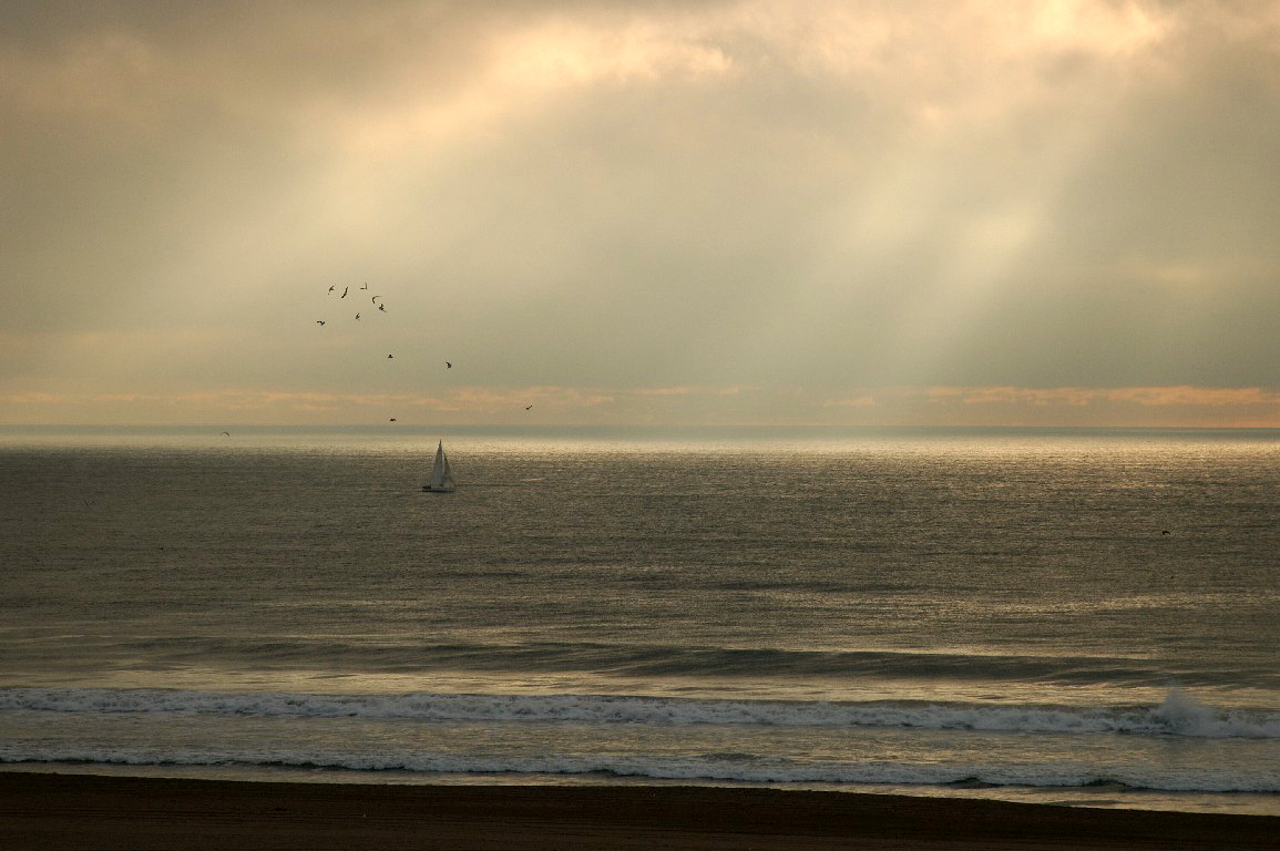 DSC_0596a
