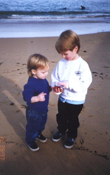boys with a starfish on the beach