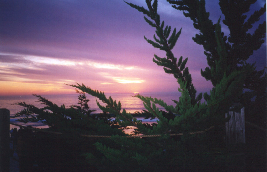 carmel