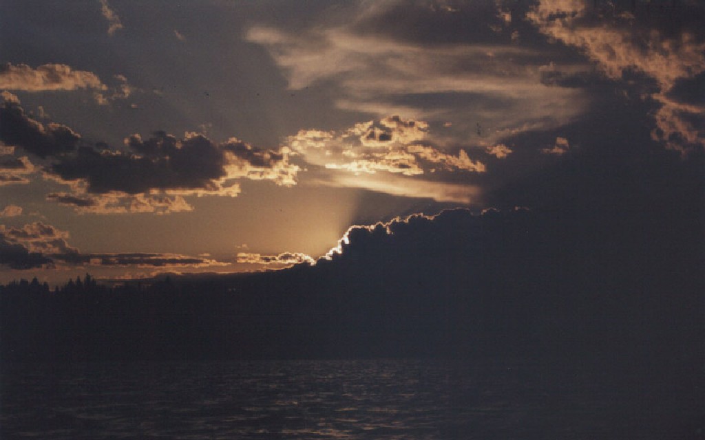photoback