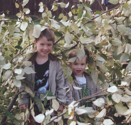trevor & Connor in leaves again