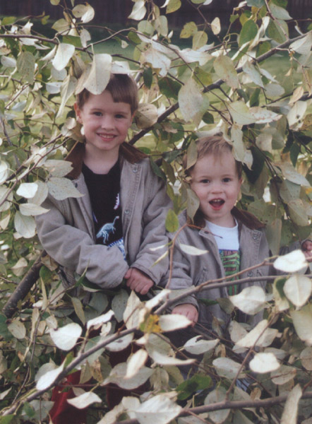 trevor & Connor in leaves yet again