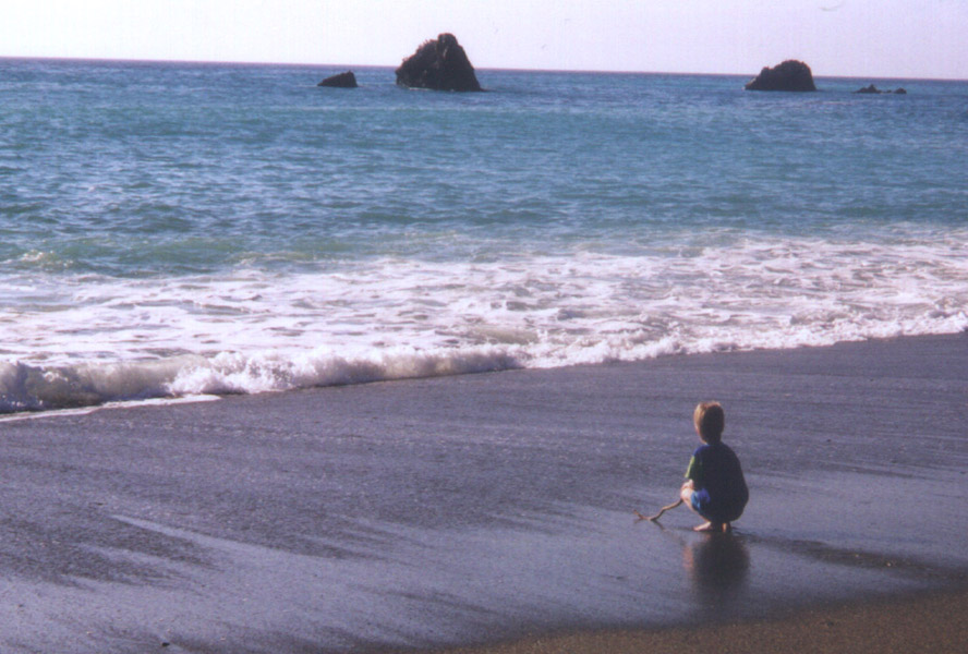 trevor pondering ocean